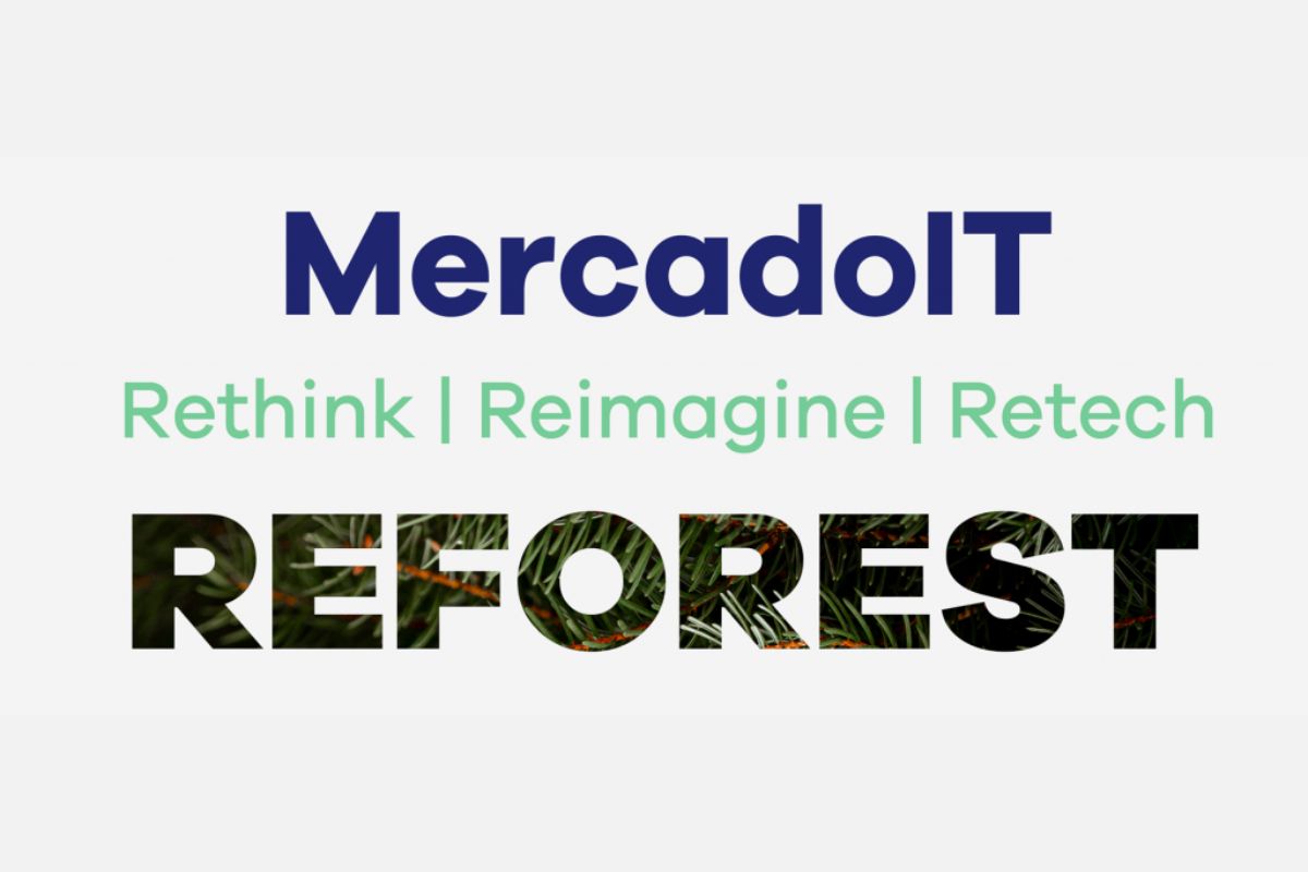 Reforestación MercadoIT